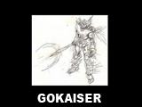 GOKAISER